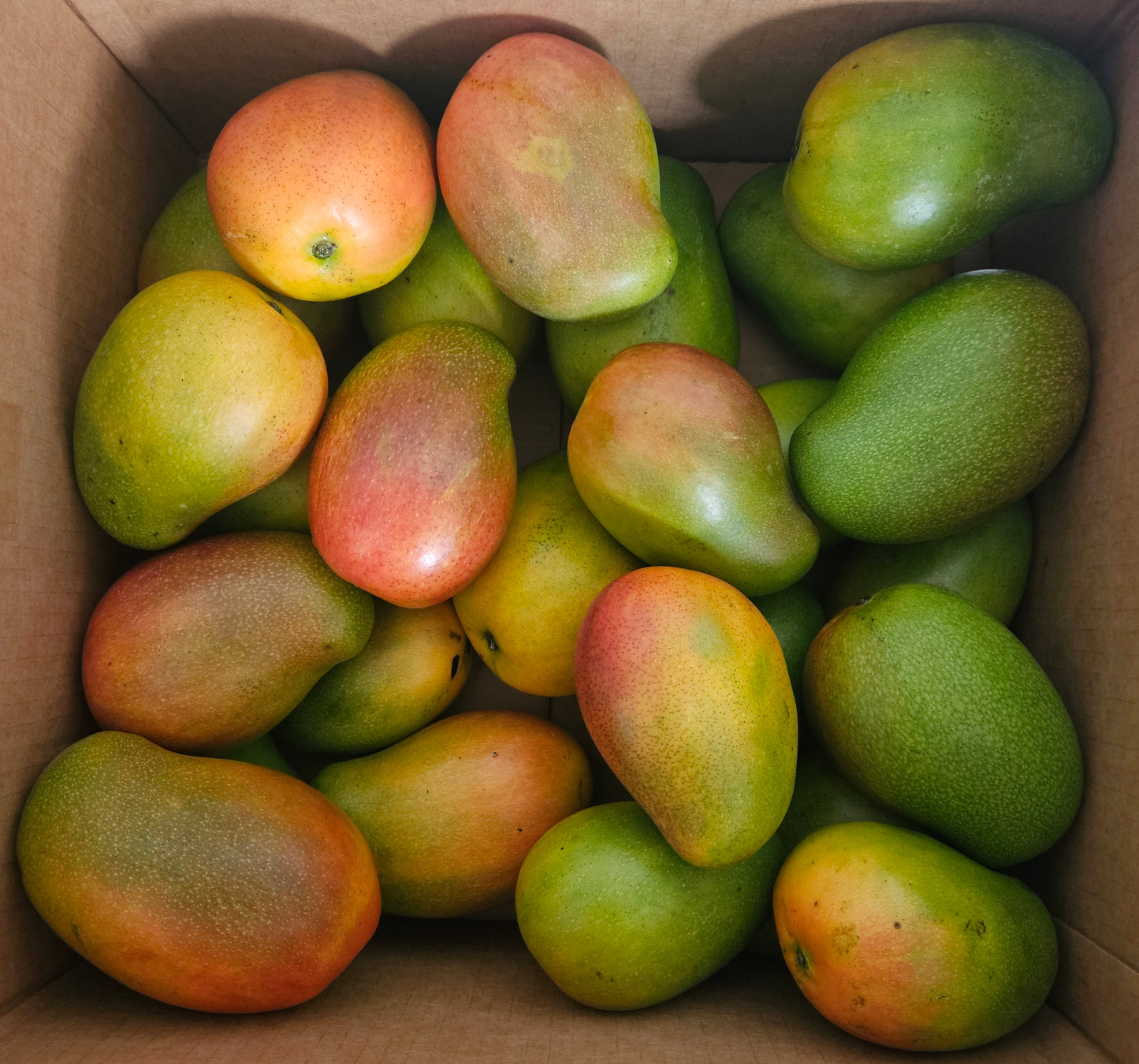East Indian Mangoes($74.99/10lbs Expedited Shipping) UK & Canada Shipping ONLY!