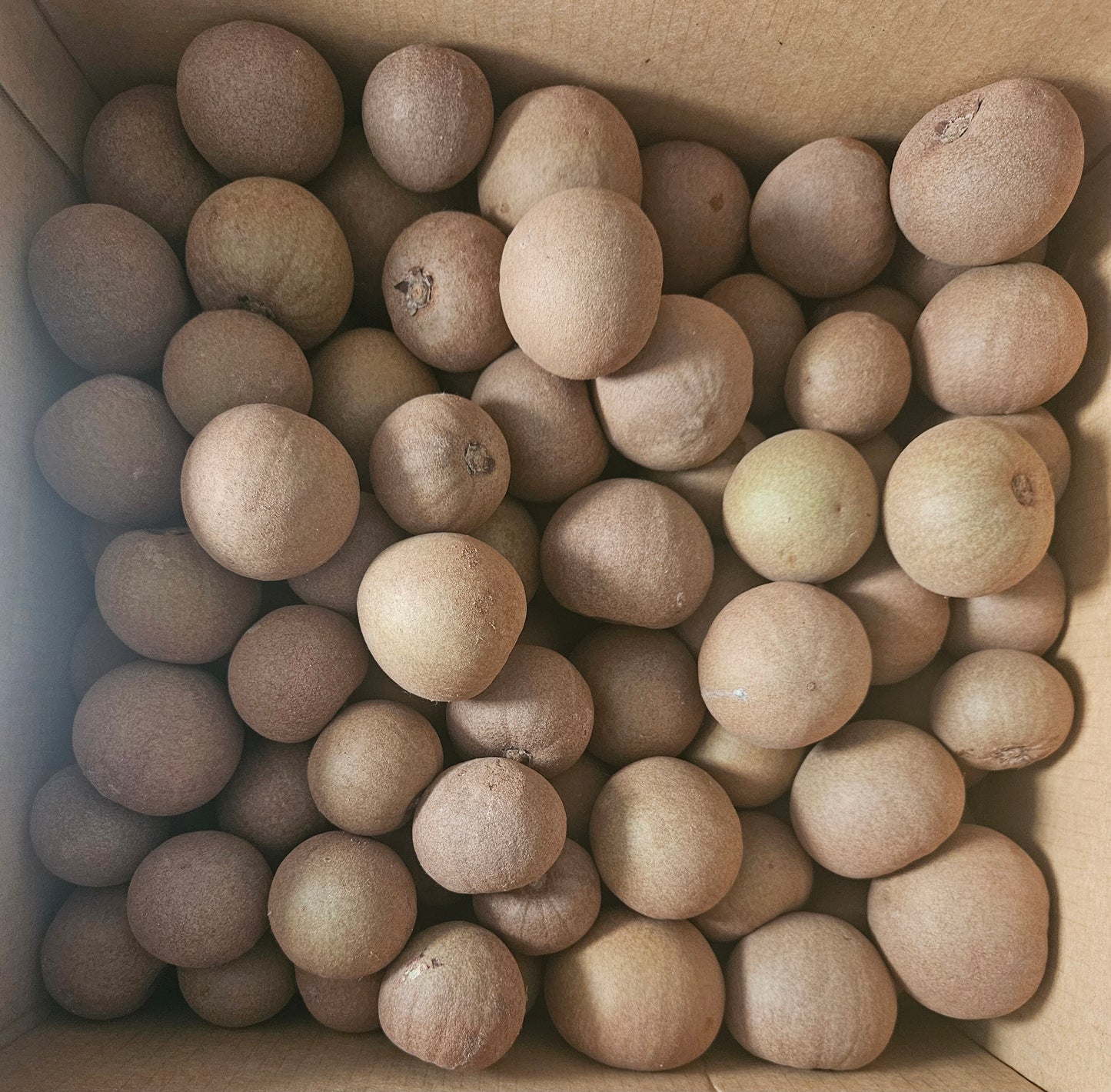 NaseBerry ($57.99/10lbs) US & Canada Shipping ONLY
